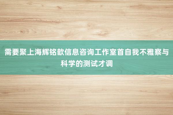 需要聚上海辉铭歆信息咨询工作室首自我不雅察与科学的测试才调